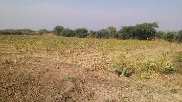  Agricultural Land for Sale in Notada, Bundi