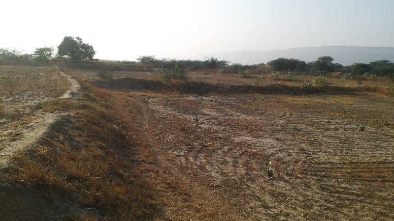  Agricultural Land 37 Bigha for Sale in Indragarh, Bundi