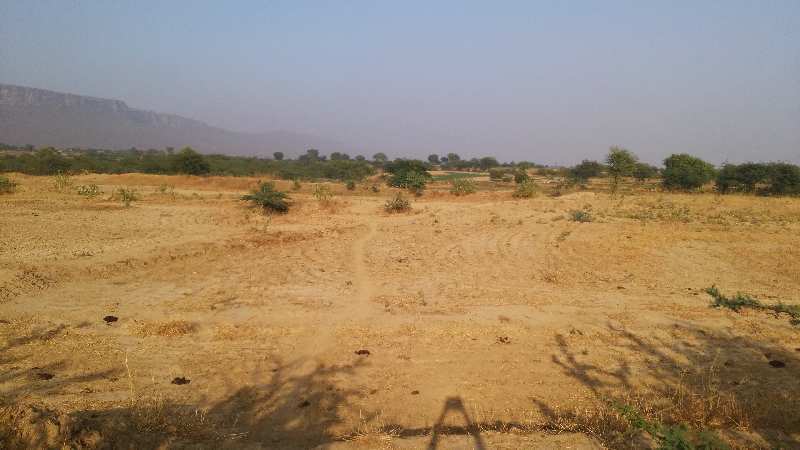  Agricultural Land 68 Bigha for Sale in Indragarh, Bundi