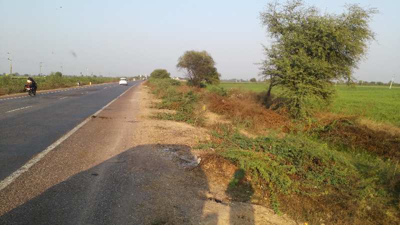  51 Bigha Agricultural/Farm Land for Sale in Keshoraipatan, Bundi