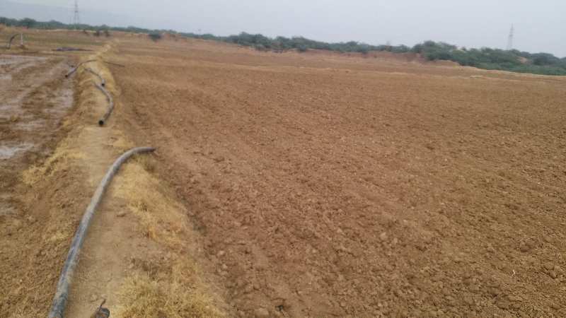  Agricultural Land 17 Bigha for Sale in Keshoraipatan, Bundi