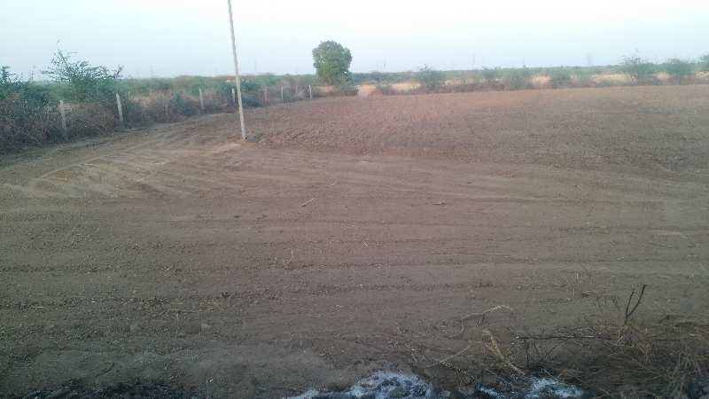  Agricultural Land 12 Bigha for Sale in Nainwa, Bundi