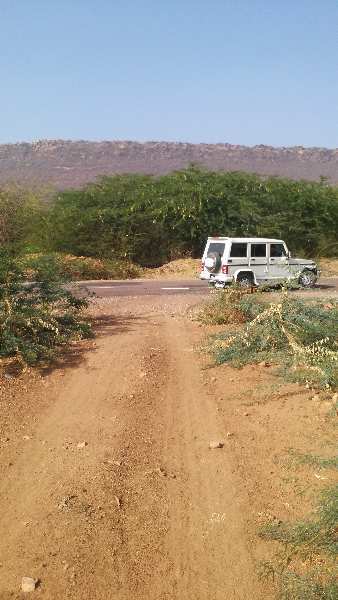  Agricultural Land 6 Bigha for Sale in Keshoraipatan, Bundi