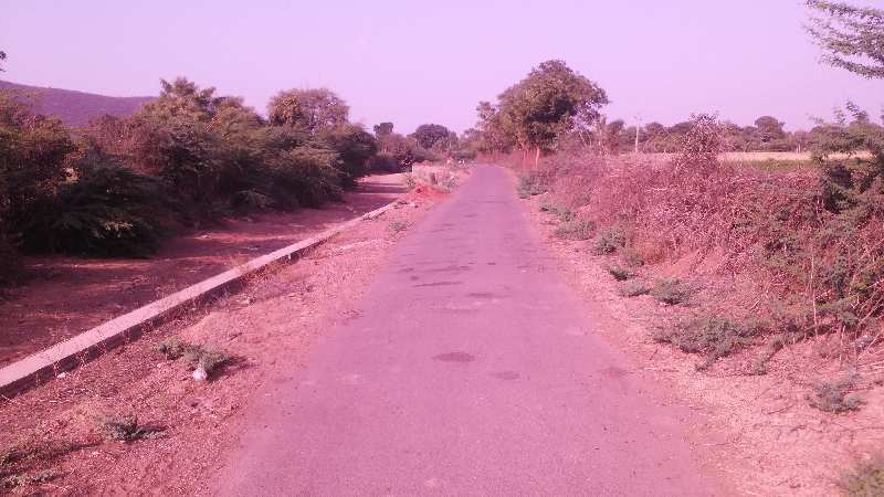 Agricultural Land 18 Bigha for Sale in