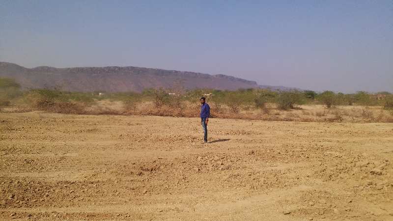  Agricultural Land 37 Bigha for Sale in Nainwa, Bundi