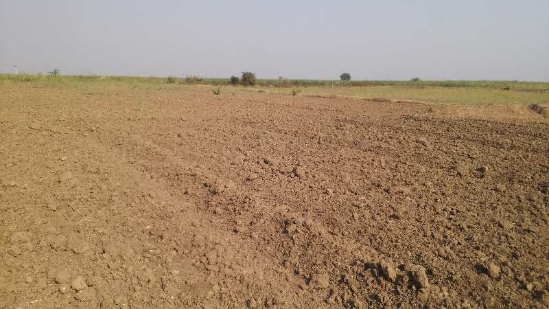 Agricultural Land 4 Bigha for Sale in Keshoraipatan, Bundi