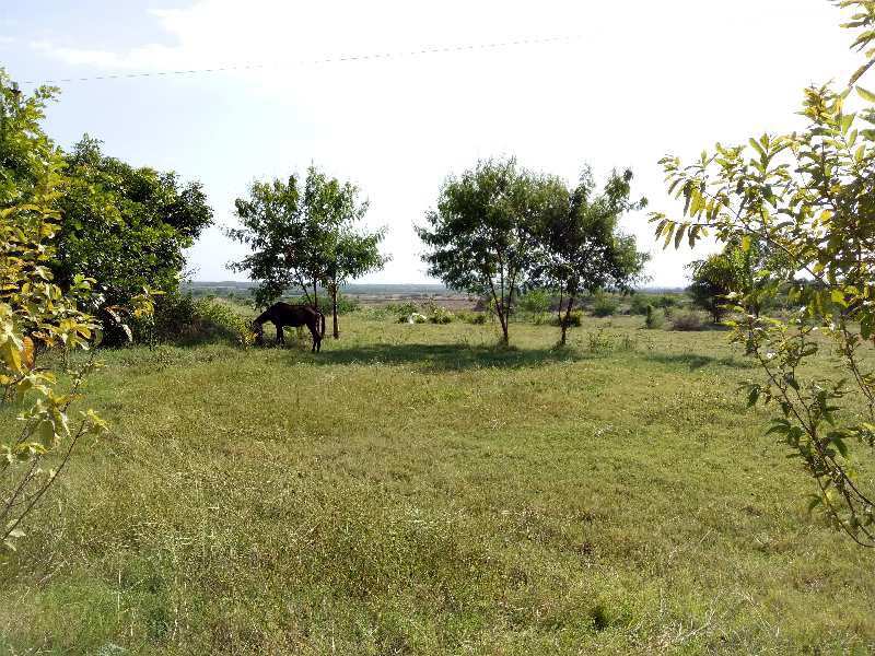 Agricultural Land 27 Bigha for Sale in