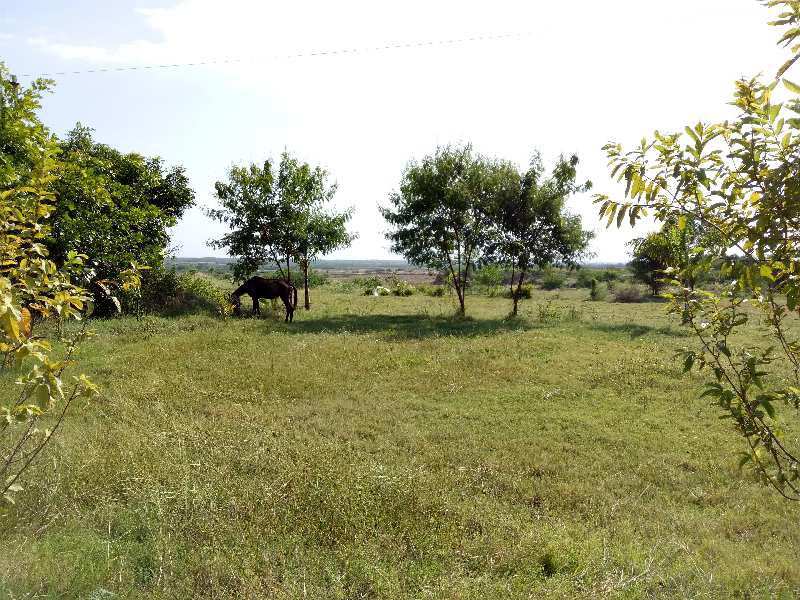  Agricultural Land 27 Bigha for Sale in Lakheri, Bundi