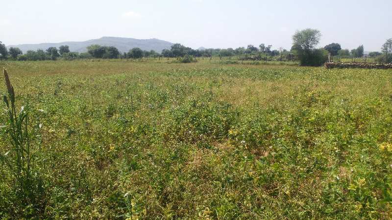  Agricultural Land 24 Bigha for Sale in Nainwa, Bundi
