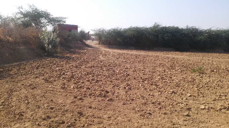 Agricultural Land 230 Bigha for Sale in