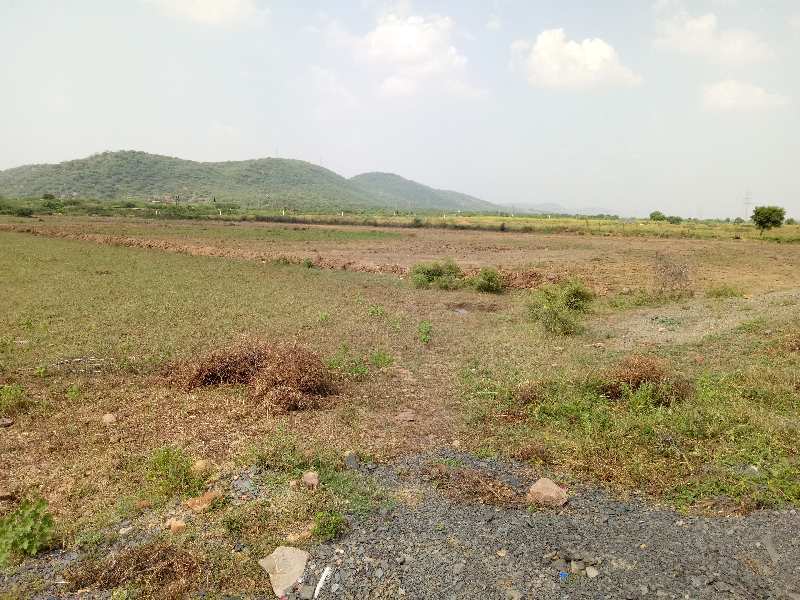 Agricultural Land 31 Bigha for Sale in