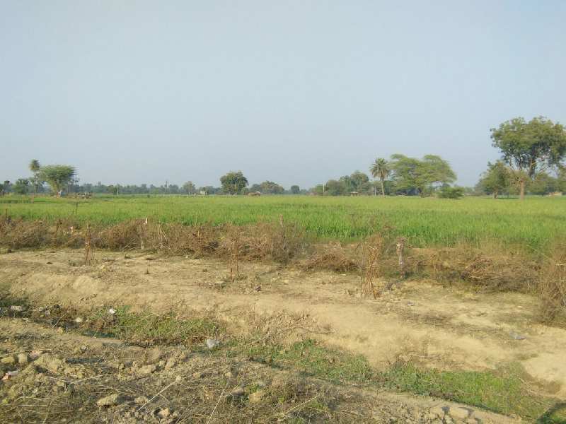  40 Bigha Agricultural/Farm Land for Sale in Nainwa, Bundi
