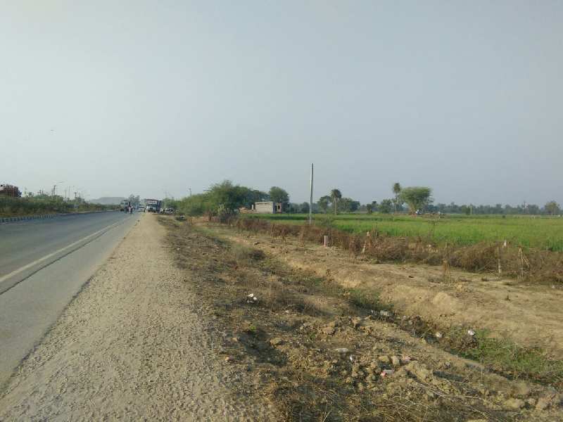 Agricultural Land 107 Bigha for Sale in