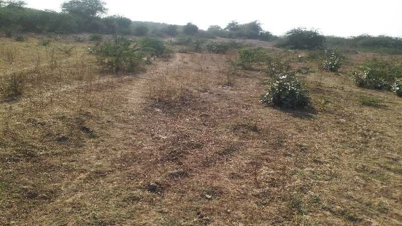 Agricultural Land 68 Bigha for Sale in