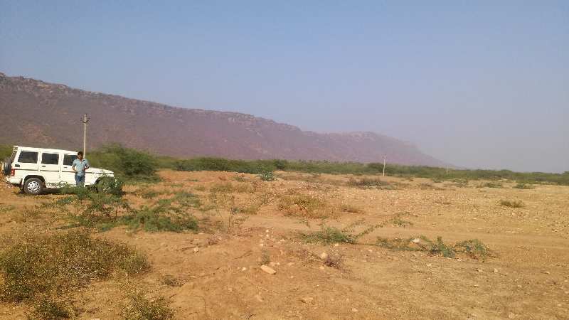Agricultural Land 17 Bigha for Sale in