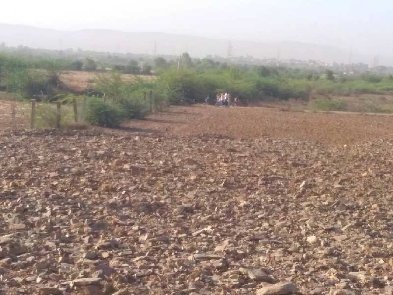 Agricultural Land 25 Bigha for Sale in