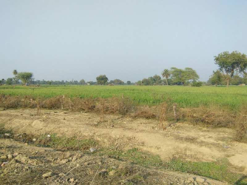 Agricultural Land 11 Bigha for Sale in Hindoli, Bundi