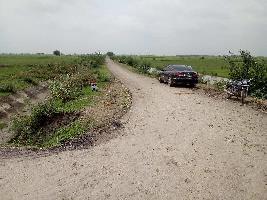  Agricultural Land for Sale in Keshoraipatan, Bundi