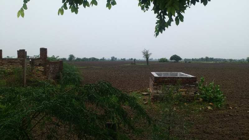 Agricultural Land 6 Bigha for Sale in Dadwara, Kota