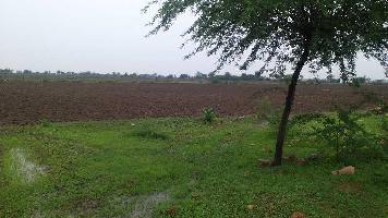  Agricultural Land for Sale in Keshoraipatan, Bundi