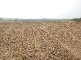  Agricultural Land for Sale in Keshoraipatan, Bundi