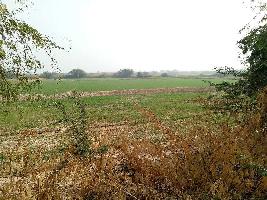  Agricultural Land for Sale in Keshoraipatan, Bundi