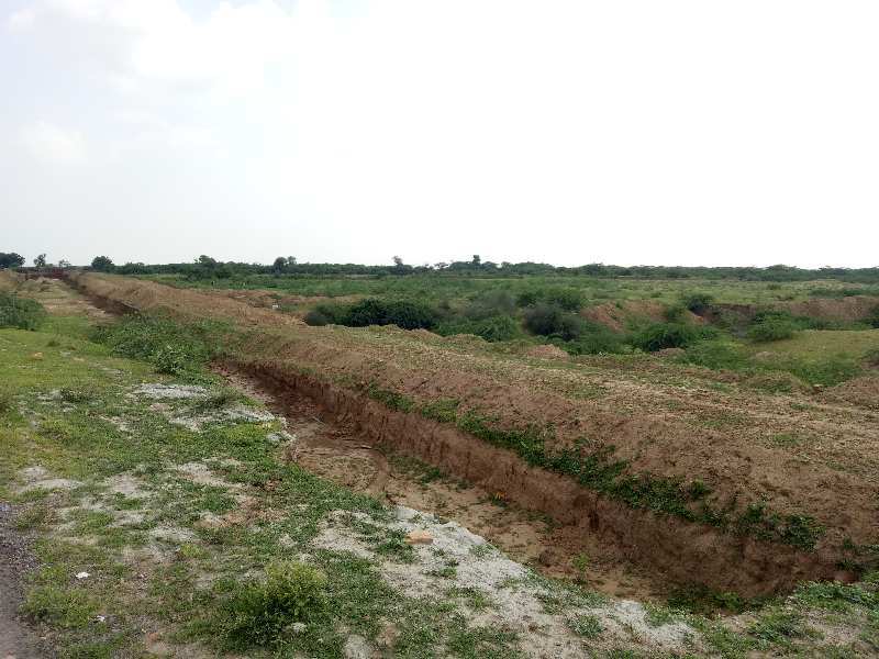 Agricultural Land 9 Bigha for Sale in Kapren, Bundi