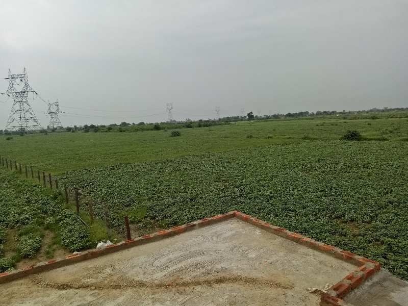 Agricultural Land 58 Bigha for Sale in