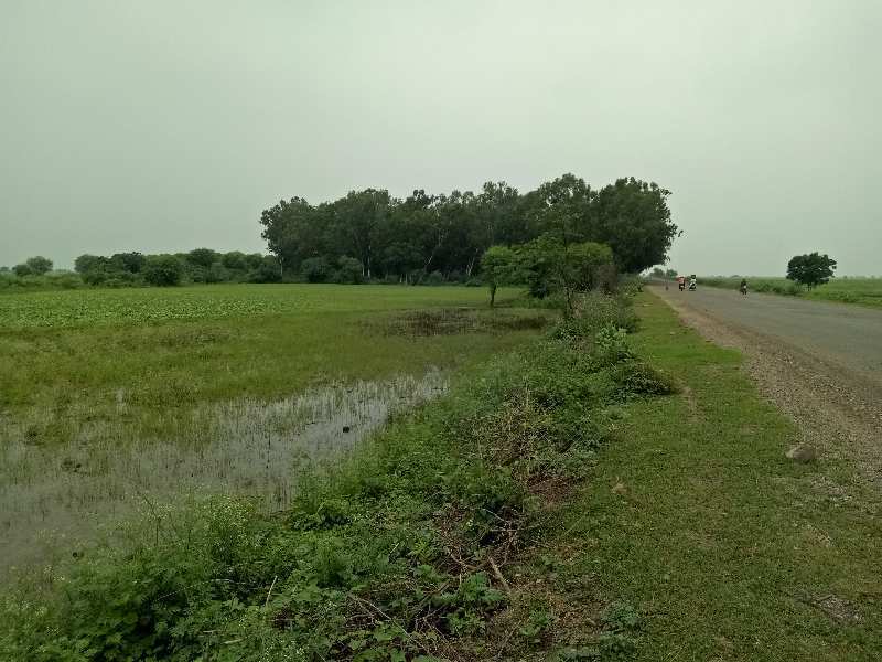 Agricultural Land 28 Bigha for Sale in
