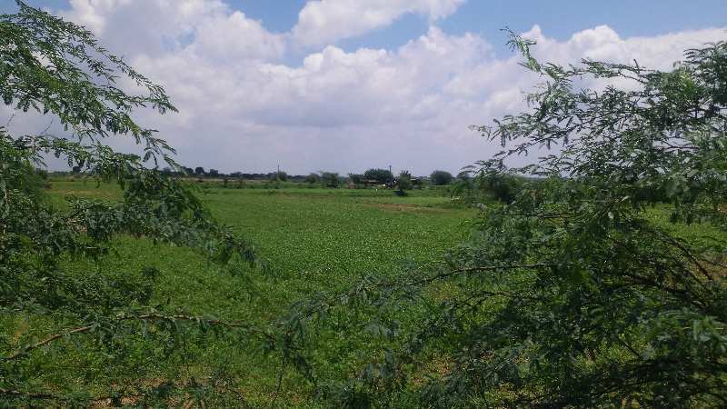 Agricultural Land 19 Bigha for Sale in