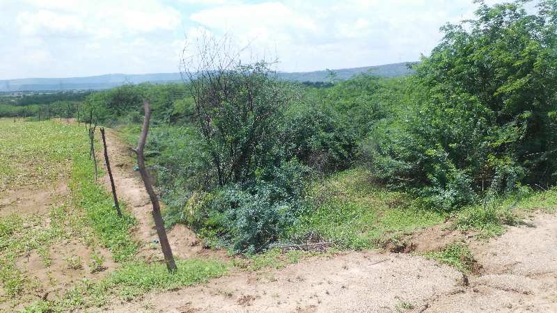 Agricultural Land 16 Bigha for Sale in