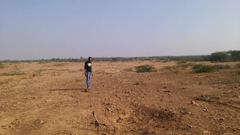 Agricultural Land 36 Bigha for Sale in