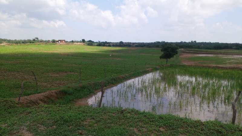 Agricultural Land 27 Bigha for Sale in
