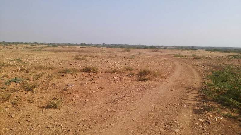 Agricultural Land 19 Bigha for Sale in