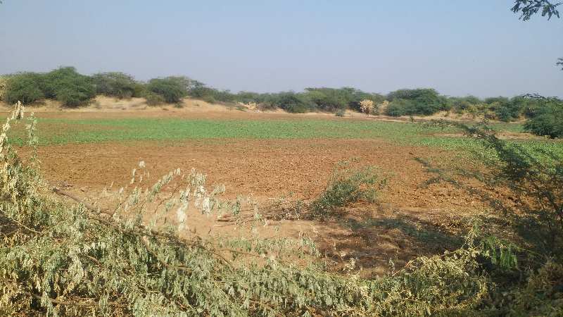 Agricultural Land 16 Bigha for Sale in