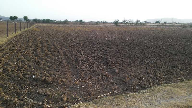 Agricultural Land 21 Bigha for Sale in Kherli, Alwar