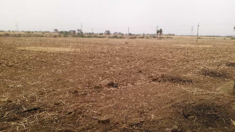 Agricultural Land 25 Bigha for Sale in Digod, Kota