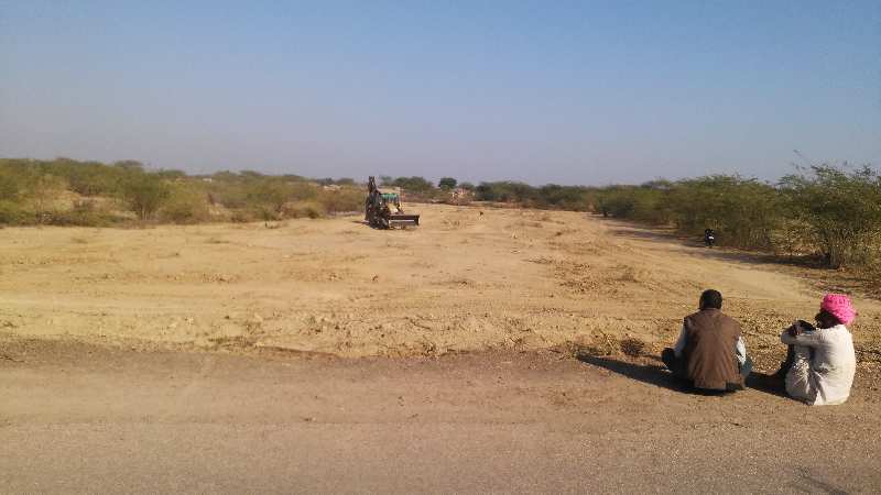 Agricultural Land 12 Bigha for Sale in Deoli, Tonk