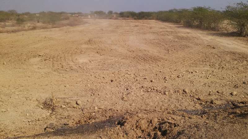 Agricultural Land 22 Bigha for Sale in Deoli, Tonk