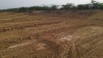  Agricultural Land for Sale in Peeplu, Tonk