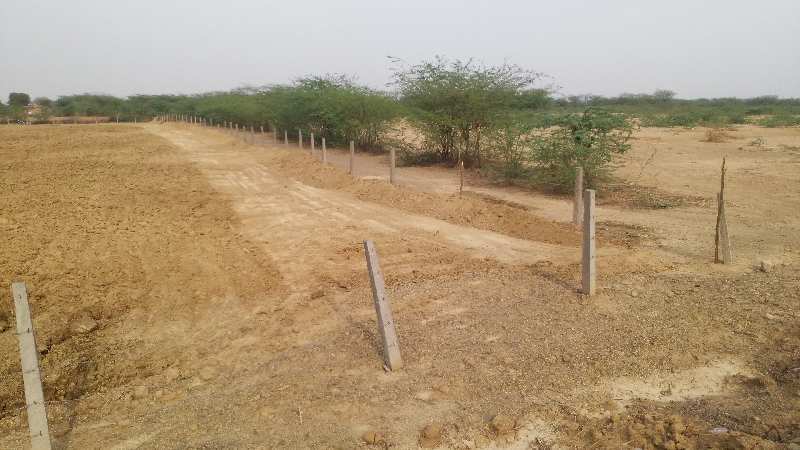 Agricultural Land 11 Bigha for Sale in Lehan, Tonk