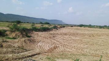  Agricultural Land for Sale in Malpura, Tonk