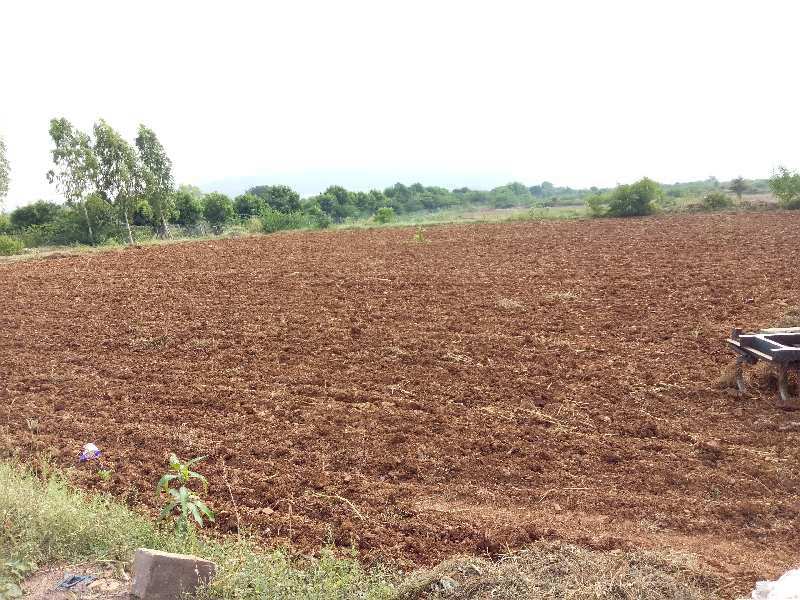 Agricultural Land 19 Bigha for Sale in Todaraisingh, Tonk