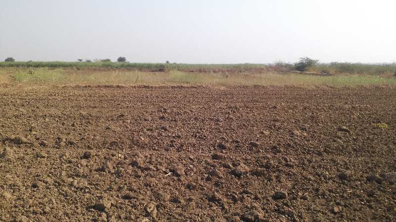 Agricultural Land 7 Bigha for Sale in Malarna Doongar, Sawai Madhopur