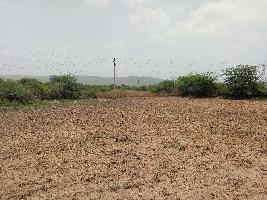  Agricultural Land for Sale in Chauth Ka Barwara, Sawai Madhopur