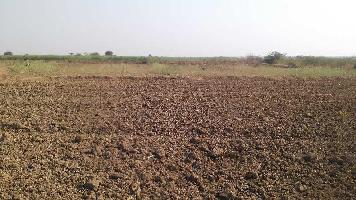  Agricultural Land for Sale in Lakheri, Bundi