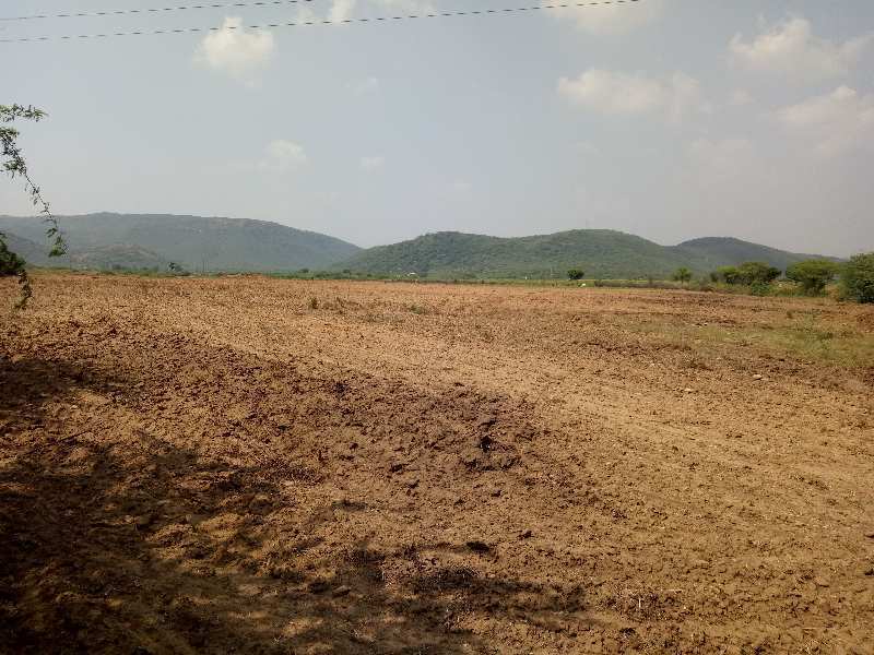 Agricultural Land 18 Bigha for Sale in