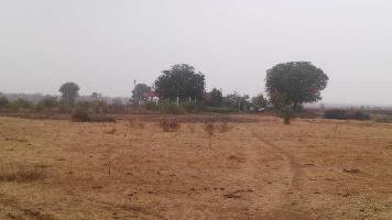  Agricultural Land for Sale in Ladpura, Kota