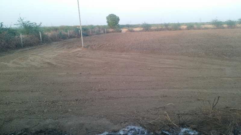 Agricultural Land 20 Bigha for Sale in Jhalrapatan, Jhalawar