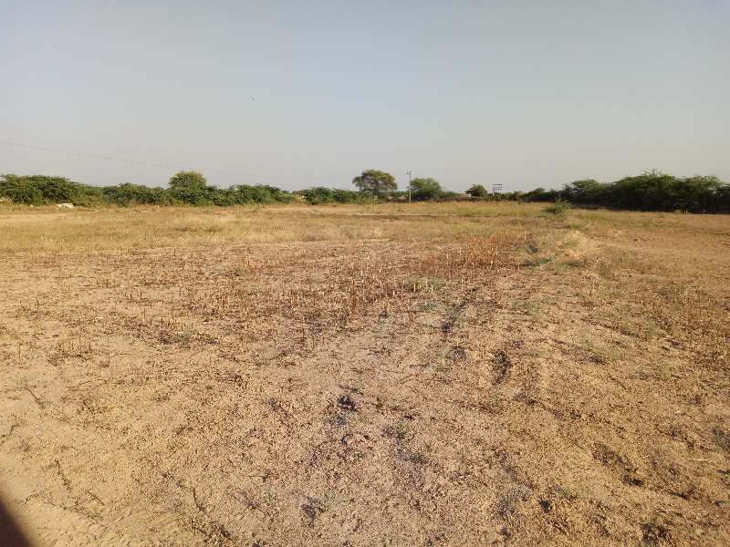 Agricultural Land 14 Bigha for Sale in Bakani, Jhalawar